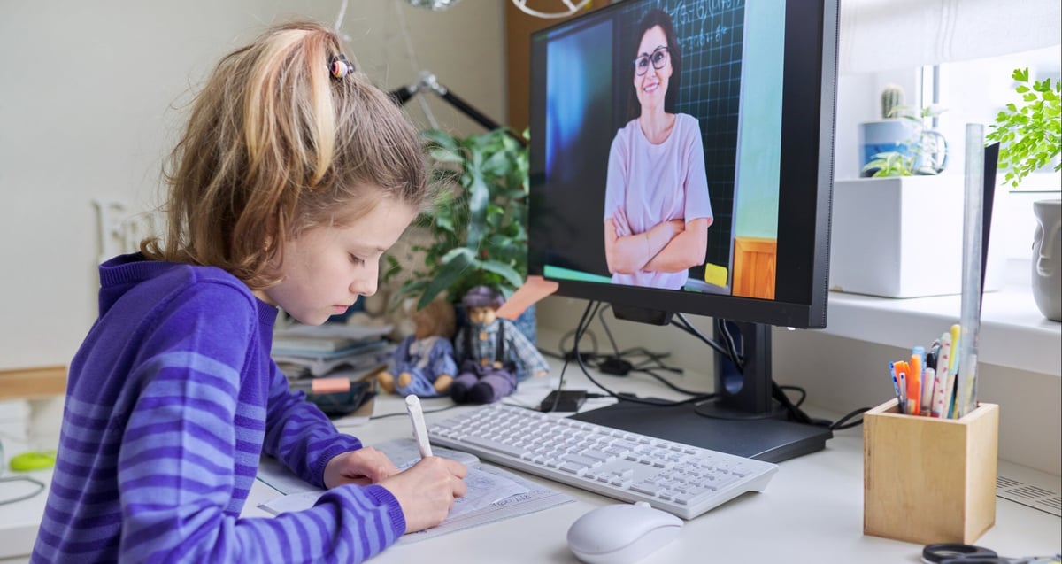 Online schools - newsletter (2)